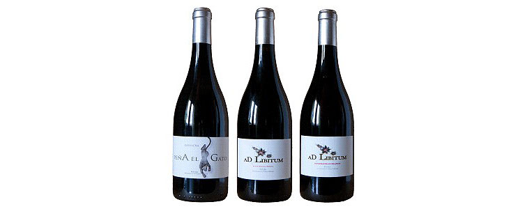 vinos-bodegas-Leyenda-del-Páramo-vinopremier
